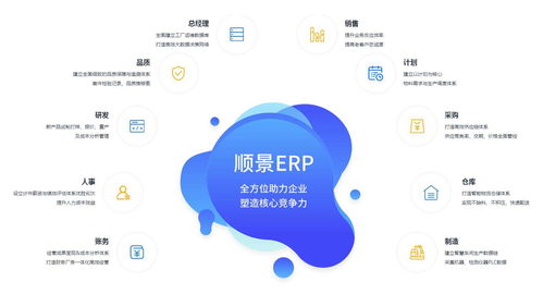 广东顺景软件 判断erp软件是否合适的方法